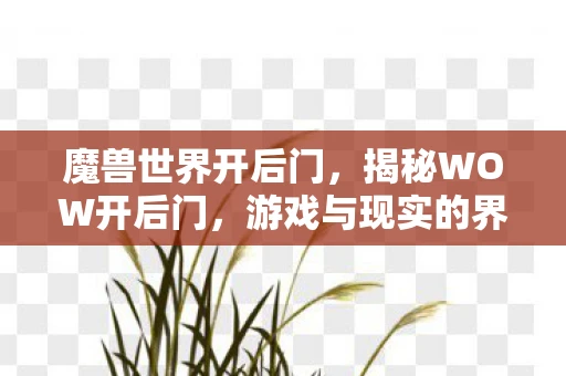 魔兽世界开后门,揭秘WOW开后门,游戏与现实的界限模糊 魔兽世界开后门,揭秘WOW开后门,游戏与现实的界限模糊