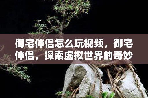 御宅伴侣怎么玩视频,御宅伴侣,探索虚拟世界的奇妙之旅 御宅伴侣怎么玩视频,御宅伴侣,探索虚拟世界的奇妙之旅