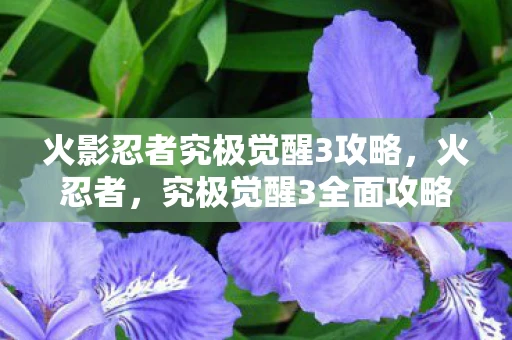 火影忍者究极觉醒3攻略，火忍者，究极觉醒3全面攻略