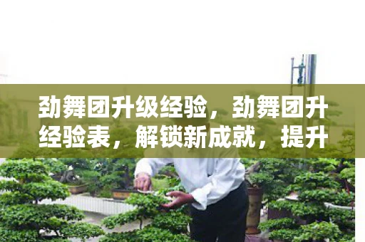 劲舞团升级经验，劲舞团升经验表，解锁新成就，提升游戏水平