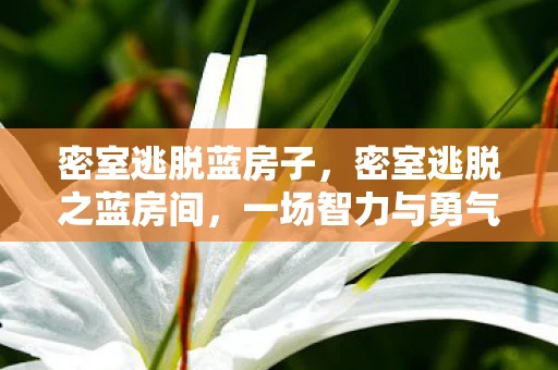 密室逃脱蓝房子,密室逃脱之蓝房间,一场智力与勇气的挑战 密室逃脱蓝房子,密室逃脱之蓝房间,一场智力与勇气的挑战