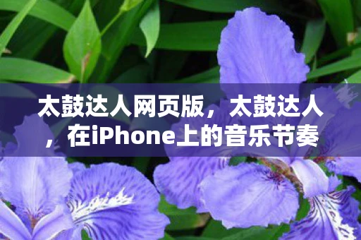 太鼓达人网页版，太鼓达人，在iPhone上的音乐节奏挑战