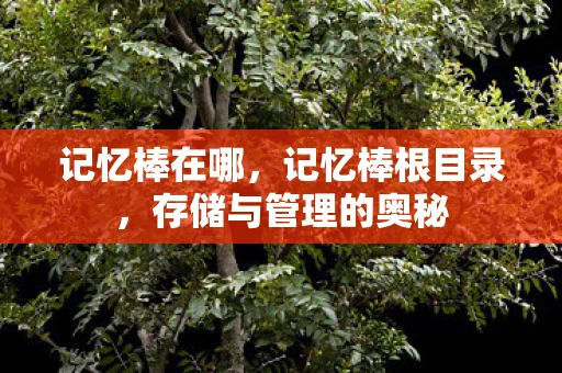 记忆棒在哪，记忆棒根目录，存储与管理的奥秘