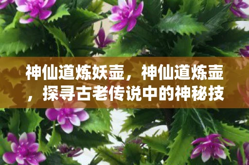 神仙道炼妖壶，神仙道炼壶，探寻古老传说中的神秘技艺
