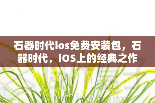 石器时代ios免费安装包，石器时代，iOS上的经典之作
