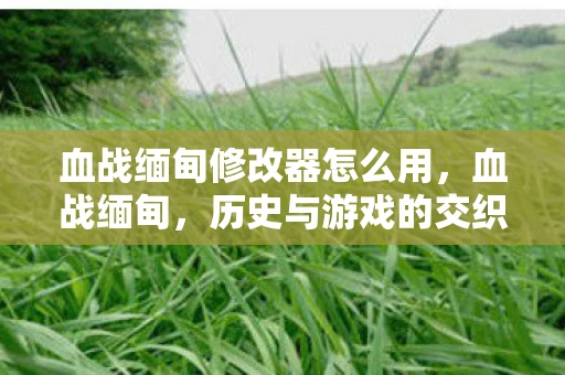 血战缅甸修改器怎么用，血战缅甸，历史与游戏的交织