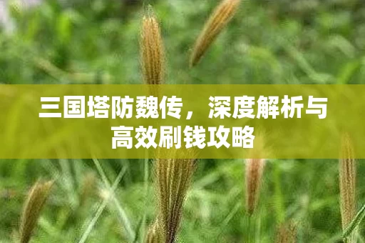 深度解析与高效刷钱攻略图片