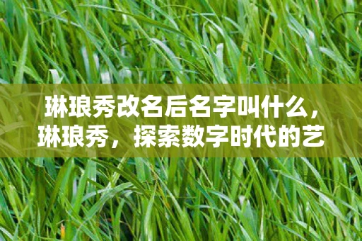 琳琅秀改名后名字叫什么，琳琅秀，探索数字时代的艺术新境界