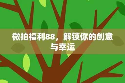 微拍福利88，解锁你的创意与幸运
