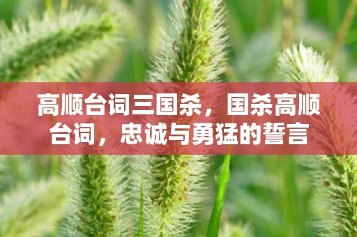 高顺台词三国杀，国杀高顺台词，忠诚与勇猛的誓言