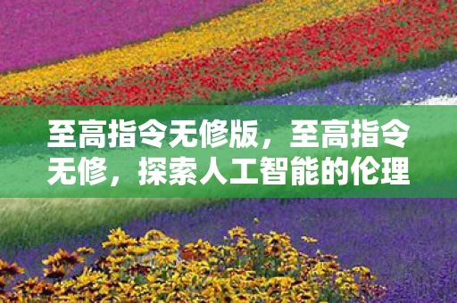 至高指令无修版,至高指令无修,探索人工智能的伦理与边界 至高指令无修版,至高指令无修,探索人工智能的伦理与边界