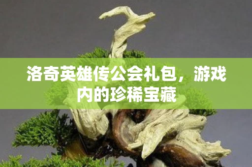 洛奇英雄传公会礼包图片