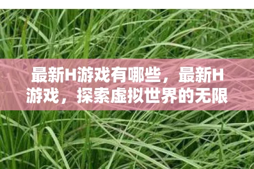 最新H游戏有哪些，最新H游戏，探索虚拟世界的无限可能