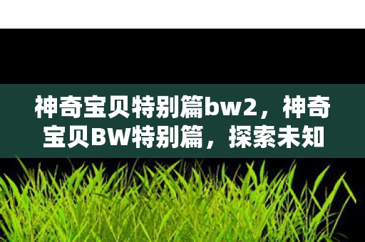 神奇宝贝特别篇bw2，神奇宝贝BW特别篇，探索未知世界的奇妙旅程