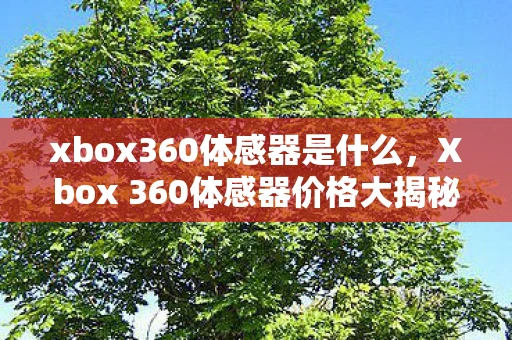 xbox360体感器是什么，Xbox 360体感器价格大揭秘，性价比与购买建议