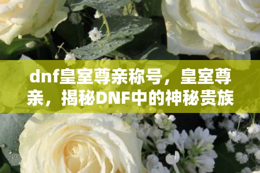 dnf皇室尊亲称号，皇室尊亲，揭秘DNF中的神秘贵族