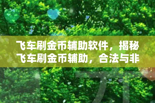 飞车刷金币辅助软件，揭秘飞车刷金币辅助，合法与非法之间的灰色地带