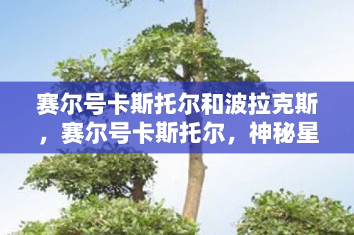 赛尔号卡斯托尔和波拉克斯，赛尔号卡斯托尔，神秘星球的守护者