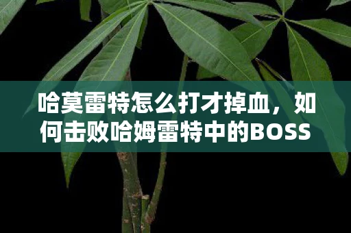 哈莫雷特怎么打才掉血,如何击败哈姆雷特中的BOSS,全面攻略 哈莫雷特怎么打才掉血,如何击败哈姆雷特中的BOSS,全面攻略
