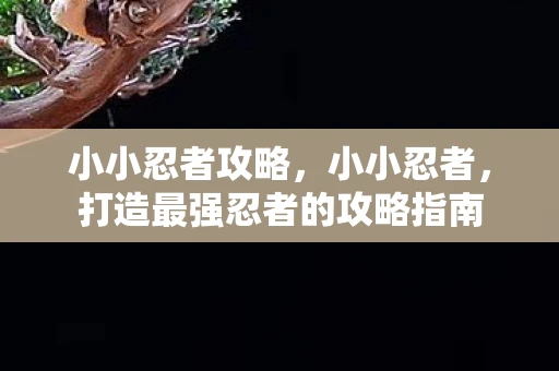 小小忍者攻略，小小忍者，打造最强忍者的攻略指南