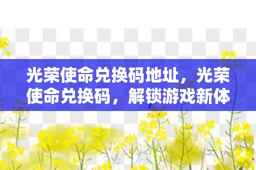 光荣使命兑换码地址，光荣使命兑换码，解锁游戏新体验