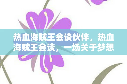 热血海贼王会谈伙伴，热血海贼王会谈，一场关于梦想与信念的盛宴