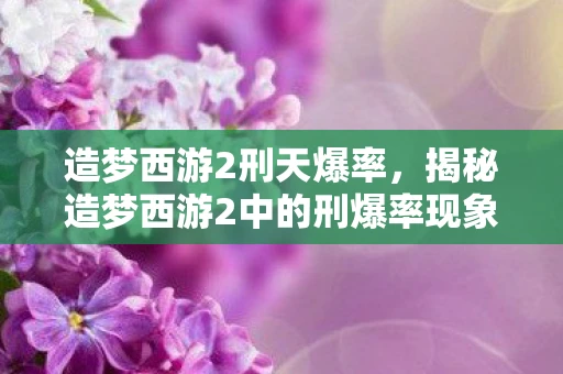 造梦西游2刑天爆率，揭秘造梦西游2中的刑爆率现象