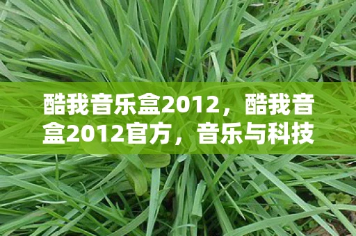 酷我音乐盒2012，酷我音盒2012官方，音乐与科技的完美融合