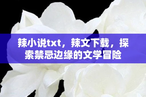 辣小说txt，辣文下载，探索禁忌边缘的文学冒险