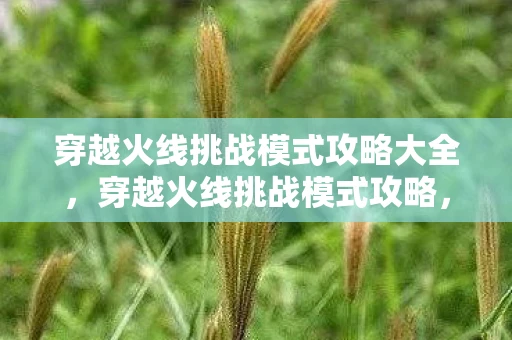 穿越火线挑战模式攻略大全，穿越火线挑战模式攻略，成为终极生存者的秘诀