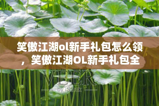 笑傲江湖ol新手礼包怎么领，笑傲江湖OL新手礼包全解析，助你快速启程江湖之旅
