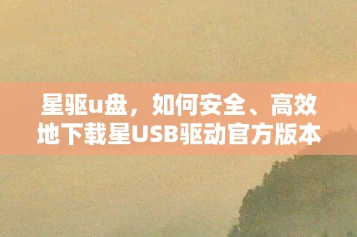 星驱u盘，如何安全、高效地下载星USB驱动官方版本