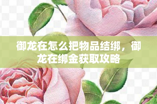 御龙在怎么把物品结绑，御龙在绑金获取攻略