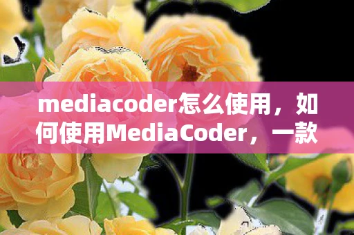mediacoder怎么使用，如何使用MediaCoder，一款强大的媒体文件转换工具