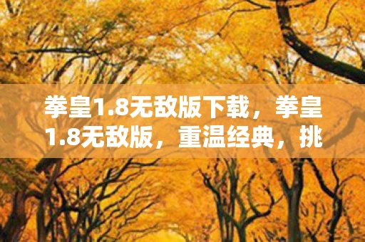 拳皇1.8无敌版下载，拳皇1.8无敌版，重温经典，挑战极限