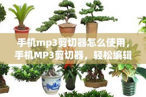手机mp3剪切器怎么使用，手机MP3剪切器，轻松编辑音乐，尽享音乐创作乐趣