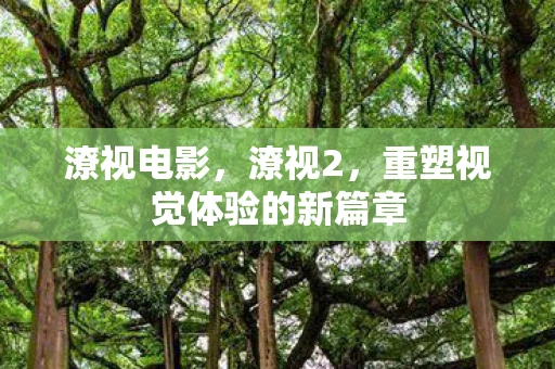 潦视电影，潦视2，重塑视觉体验的新篇章
