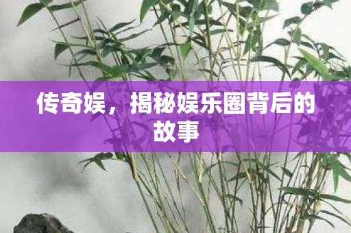 传奇娱，揭秘娱乐圈背后的故事