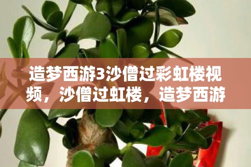 造梦西游3沙僧过彩虹楼视频,沙僧过虹楼,造梦西游3的攻略与挑战 造梦西游3沙僧过彩虹楼视频,沙僧过虹楼,造梦西游3的攻略与挑战