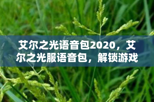 艾尔之光语音包2020，艾尔之光服语音包，解锁游戏新体验