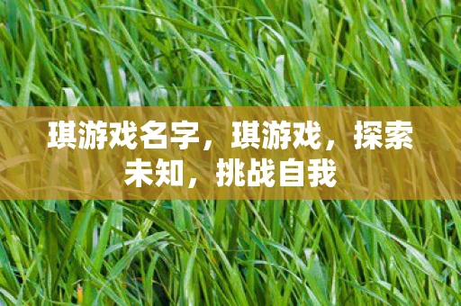 琪游戏名字，琪游戏，探索未知，挑战自我