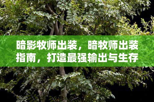 暗影牧师出装,暗牧师出装指南,打造最强输出与生存能力 暗影牧师出装,暗牧师出装指南,打造最强输出与生存能力