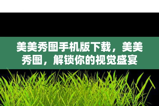 美美秀图手机版下载，美美秀图，解锁你的视觉盛宴
