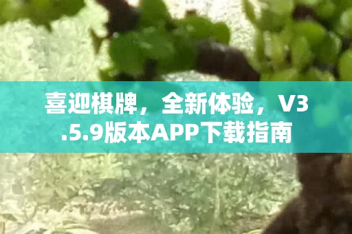 9版本APP下载指南图片