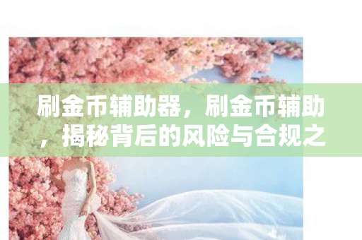 刷金币辅助器，刷金币辅助，揭秘背后的风险与合规之路