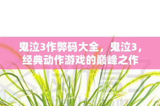 鬼泣3作弊码大全，鬼泣3，经典动作游戏的巅峰之作
