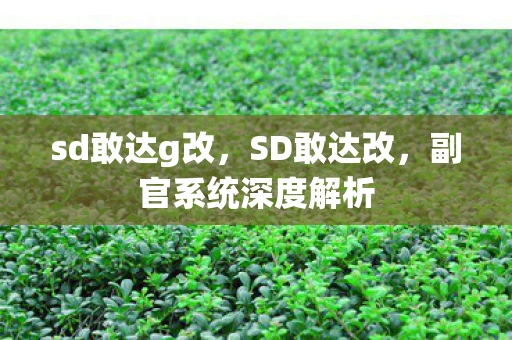 sd敢达g改，SD敢达改，副官系统深度解析
