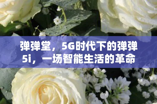 弹弹堂,5G时代下的弹弹5i,一场智能生活的革命 弹弹堂,5G时代下的弹弹5i,一场智能生活的革命