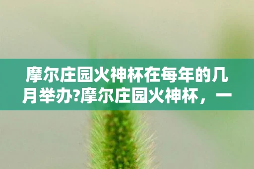摩尔庄园火神杯在每年的几月举办?摩尔庄园火神杯，一场虚拟世界的体育盛宴
