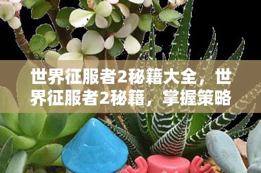 世界征服者2秘籍大全，世界征服者2秘籍，掌握策略，征服全球